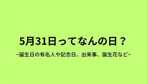 1991年5月31日|5月31日